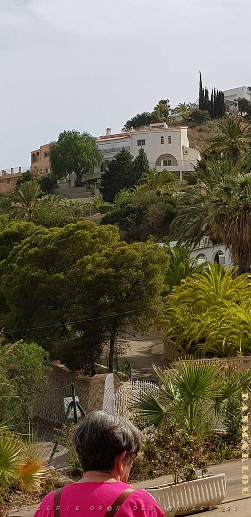 HOMMAGE A N.D. DE SANTA CRUZ A DALIAS DU 7 AU 10 JUIN 2019 (642) ESCAPADE A CARBONERA ET MOJACA .jpg